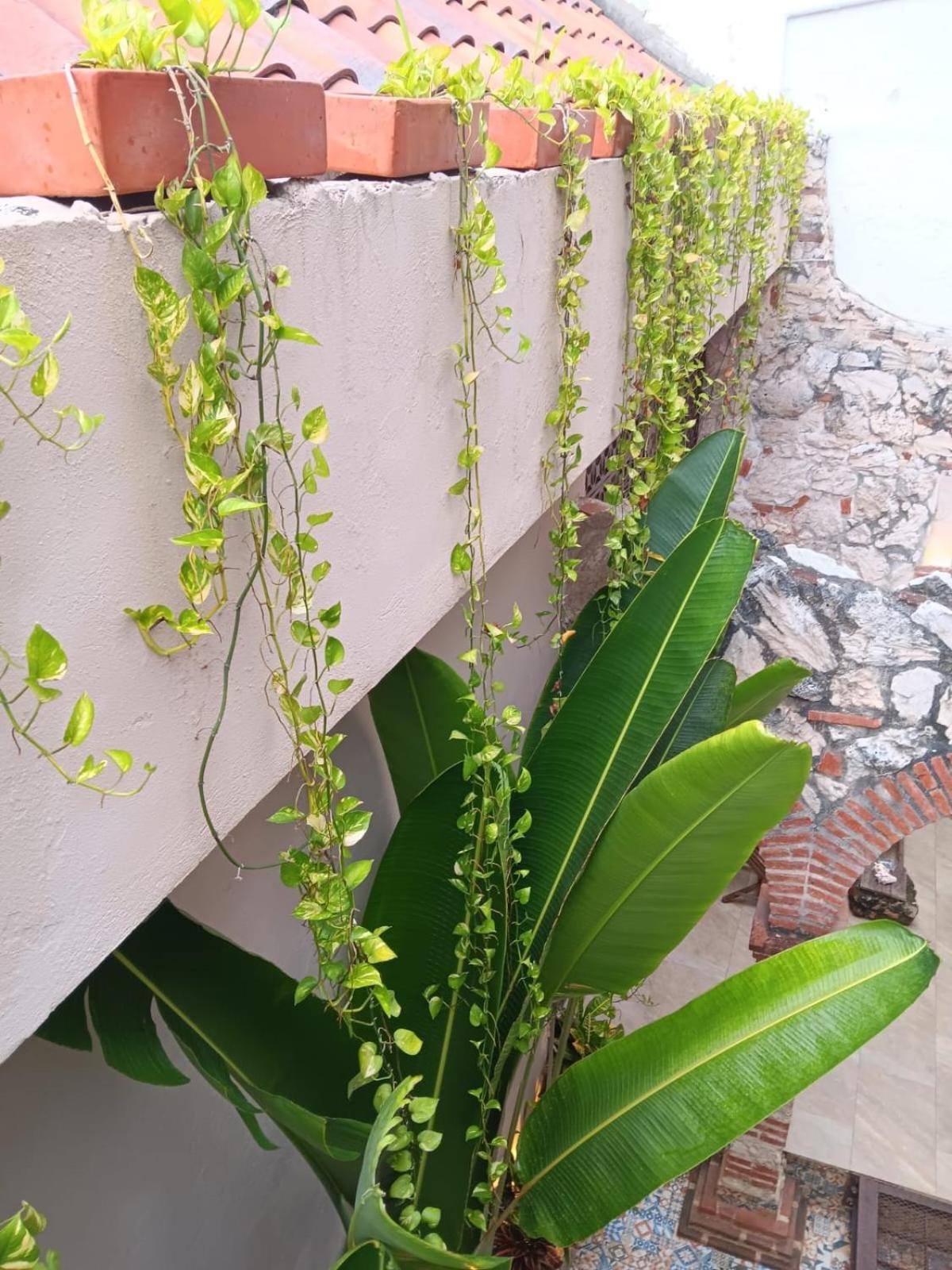 Apartamento En Getsemani Pod A